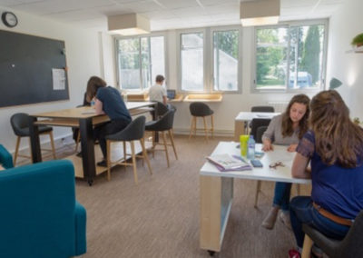 Lincubacteur Estuaire et Sillon